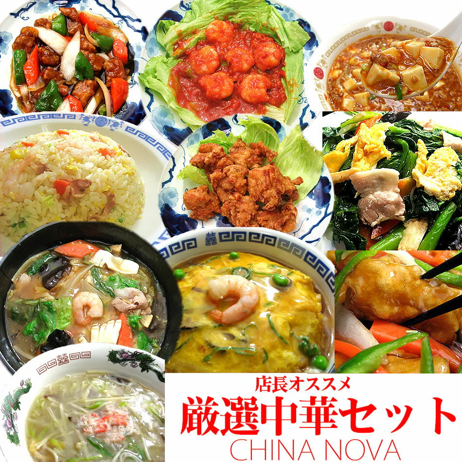 厳選中華10品セット
