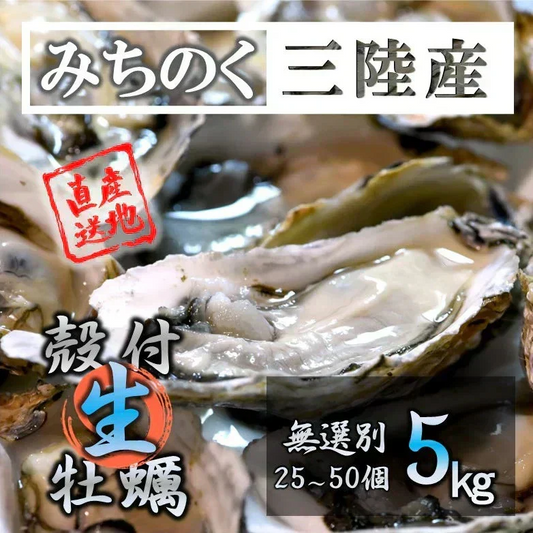 【生食OK】三陸産 殻付き 生牡蠣 5kg 今季初出し 希少 数量限定 新鮮 宮城 石巻 鉄分 ミネラル豊富 希少 貝 魚介類 かき 栄養 海の幸