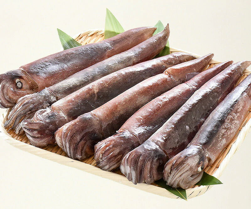 するめいか 7杯（約2kg前後） 日本海産 スルメイカ［送料無料］ いか イカ スルメイカ するめいか スルメ 冷凍イカ 刺身用 美味しい 刺身 刺し身 海鮮 贈り物 食品 食べ物 母の日 プレゼント ギフト  母の日思いの 健康 実用的 父の日 子供 孫 ※ポスト投函商品の発送は1～2週間前後になります