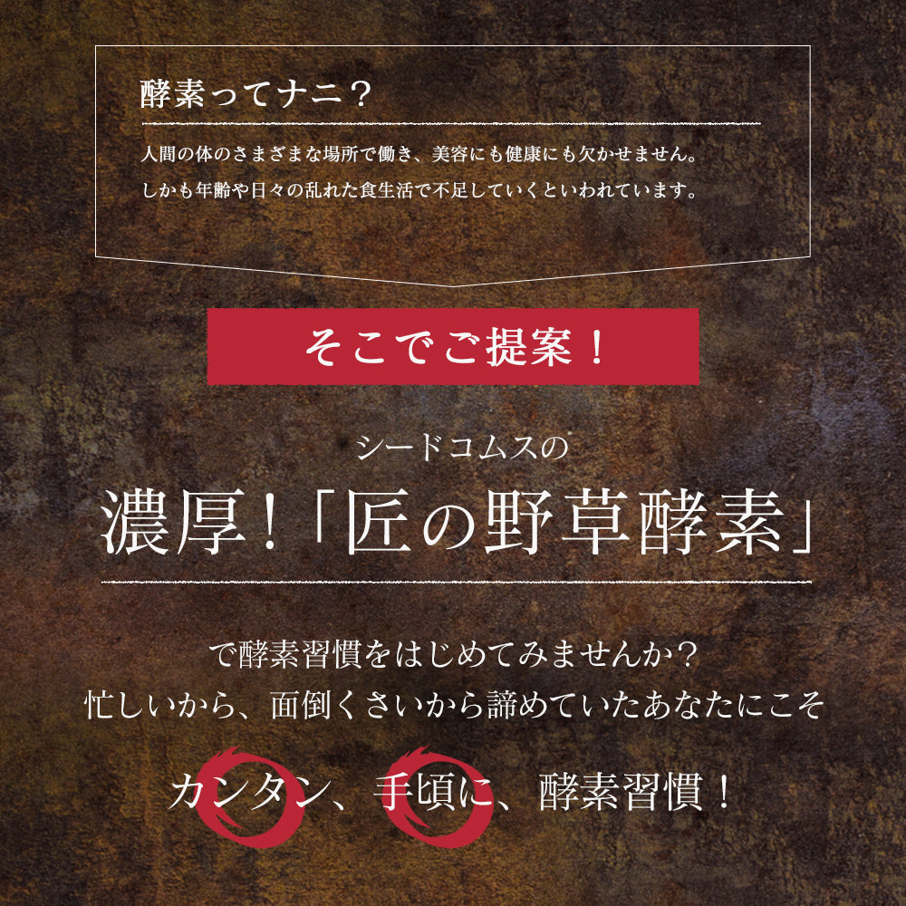 匠の野草酵素《約12ヶ月分》  送料無料 サプリ サプリメント 酵素 野草酵素 健康  スーパーフード 健康食品 野菜不足 乳酸菌 ダイエット 美容 ビタミン ビタミンC【大容量】