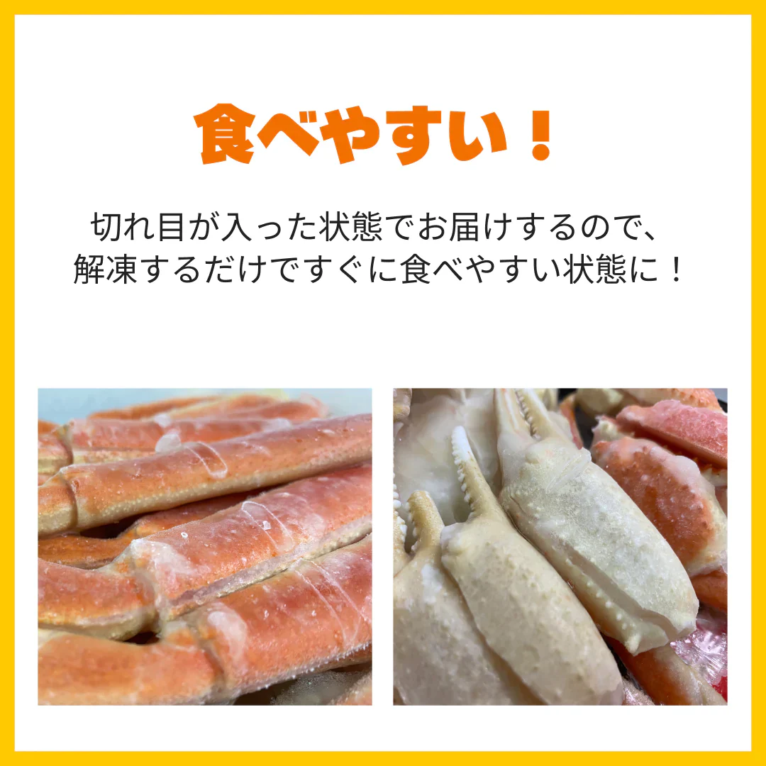 ボイル本ズワイ蟹　1㎏　発泡箱入り