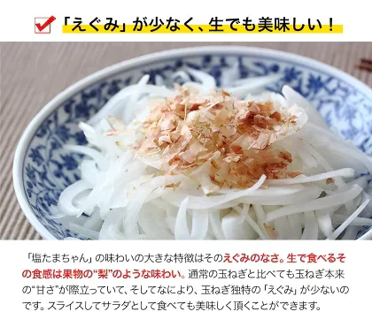 熊本県産 訳あり 塩たまちゃん 玉ねぎ たまねぎ 5kg 【5L-2Sサイズ不選別】 子出藤 (ねでふじ)さん 送料無料 塩タマネギ 新たまねぎ 塩玉ちゃん 塩玉 お取り寄せ お取り寄せグルメ《7-14営業日以内に出荷(土日祝除く)》