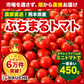 【１番早く届く！】【10月中旬頃〜12月末日までに発送】【予約】１番多い約450g！ぷちまるトマト(280~300g+保証分150g)日本一の産地から農家直送 熊本県産 野菜 青果 フルーツ ミニトマト【カウシェファーム収穫対象商品】