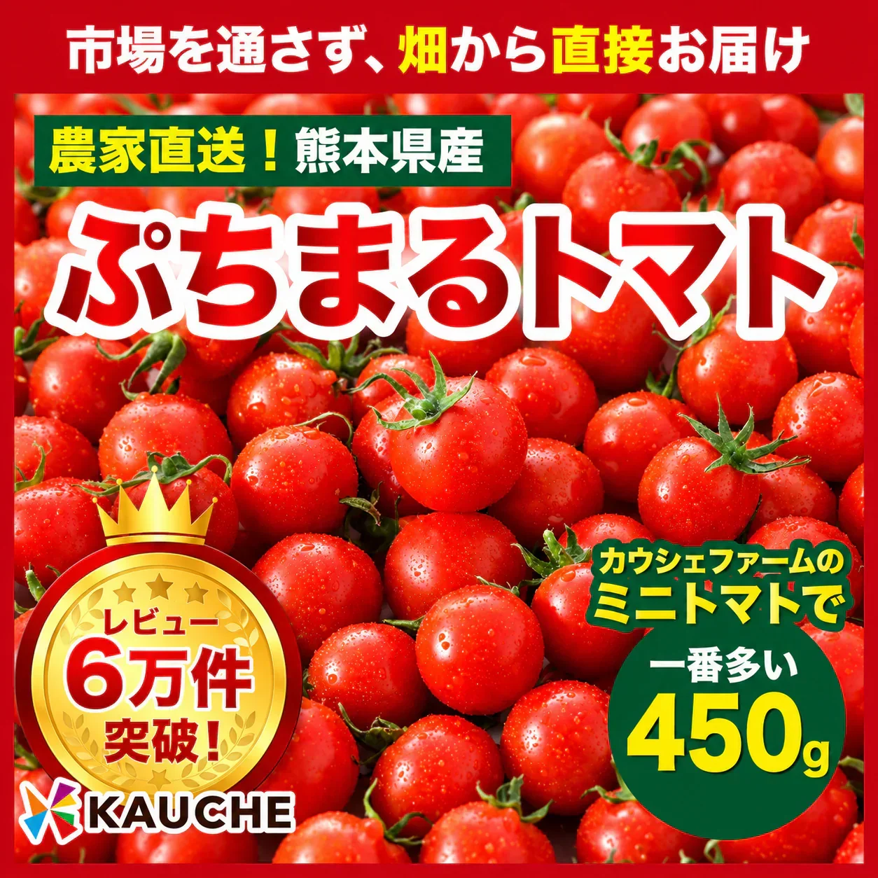 【１番早く届く！】【10月中旬頃〜12月末日までに発送】【予約】１番多い約450g！ぷちまるトマト(280~300g+保証分150g)日本一の産地から農家直送 熊本県産 野菜 青果 フルーツ ミニトマト【カウシェファーム収穫対象商品】