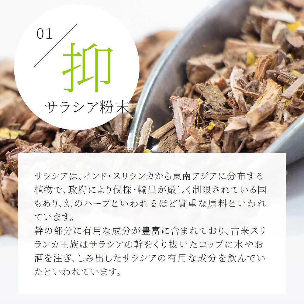 サラシアブラック《約1ヶ月分》炭 チャコール配合 サプリ サプリメント ダイエット チャコールクレンズ ダイエットサプリ サラシア【カウシェファーム収穫対象商品】