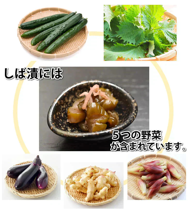 しば漬 漬物 きざみきゅうり漬け 600g（150g×4袋） 送料無料 ポッキリ 宮崎県産 お取り寄せ お取り寄せグルメ きゅうり しそ しょうが なす みょうが つけもの