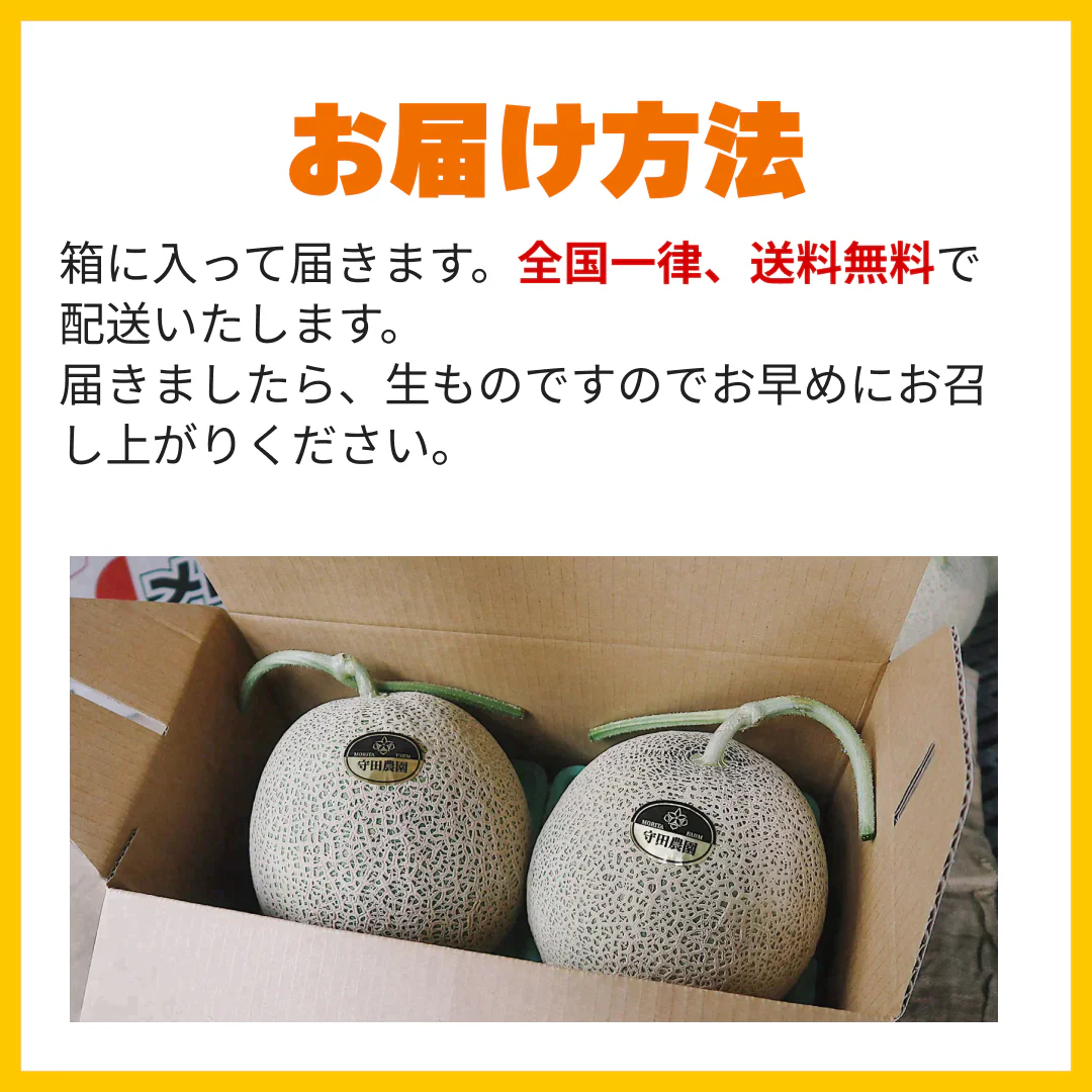 ＜数量限定＞【2玉入り】訳あり 富良野産赤肉メロン ｜ 中玉（1玉1.6kg以上） 送料無料【ゲリラセール】