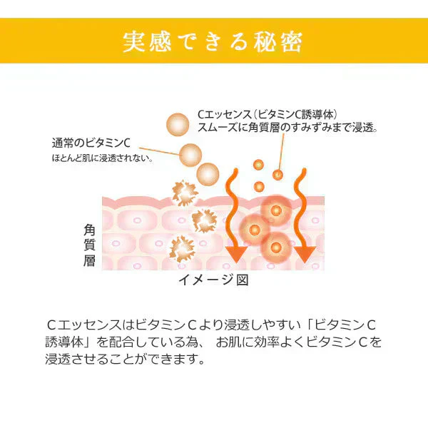 【カウシェ限定セット】(ゴールド) 毛穴徹底ケアセット 多機能美顔器イオンプルレクリエイト+LDK1位！ビタミンC美容液CエッセンスVC5+PLUS10ml+リッチフラワーモイスチャーエッセンス100ml+美顔器ジェル105g