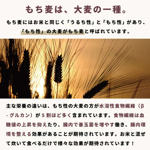 国産 皮つき 紫 もち麦 プチコさん 900g からだにいいこと大賞準大賞 ダイシモチ アントシアニン 腸内環境 食物繊維