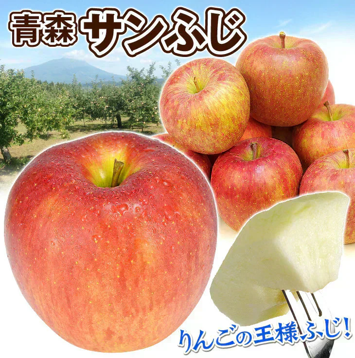 りんご サンふじ 青森産 5kg ご家庭用