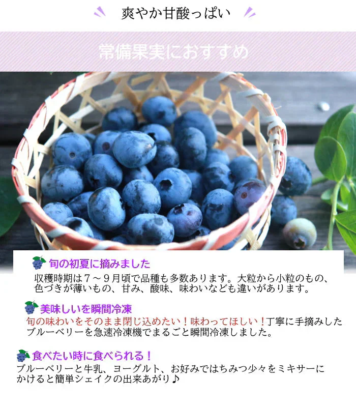 冷凍ブルーベリー（100g×2個）＆まるごと柿シャーベット6個詰合せ　冷凍フルーツのギフトセット