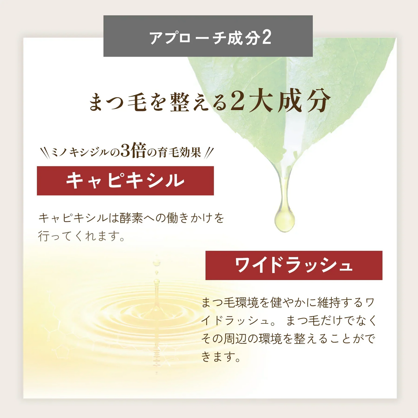 ルーツヘアー アイラッシュセラム 3ml/まつ毛美容液 ヒト毛根細胞順化培養液配合 育毛のプロが開発 30種類以上の栄養成分 国産 日本製 まつ毛にはまつ毛の幹細胞  まつ毛と地肌にアプローチするまつ毛用セラム まつ毛の根本の皮膚を保湿し、美しいまつ毛を維持します まつ毛の毛根から抽出した、特許取得のヒト毛根細胞順化培養液を配合 国産のヒト毛根幹細胞由来 目元美容液