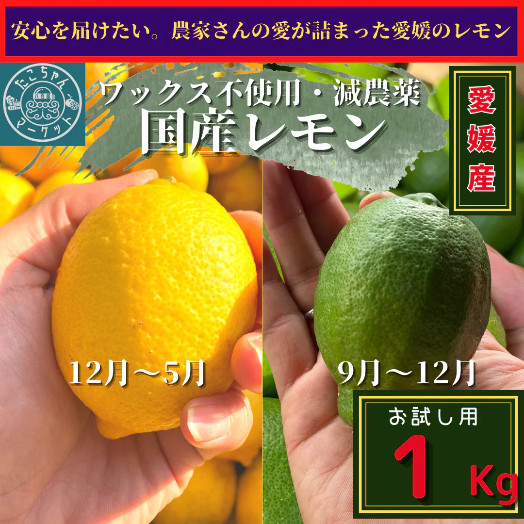 ワックス・防腐剤など不使用！国産レモン　愛媛県産　1kg 10球前後　レモン・グリーンレモン