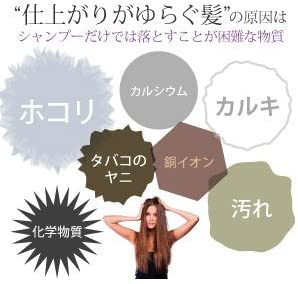2本セット　100ｍL モンゴ流 ヘアクレンジング ゼロリムーバー 男女兼用