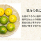 みかん 訳あり 送料無料 2kg 熊本みかん 熊本県産 極早生みかん 蜜柑 ミカン【ご新規さん限定商品】