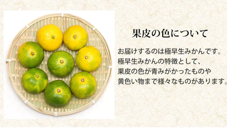 みかん 訳あり 送料無料 2kg 熊本みかん 熊本県産 極早生みかん 蜜柑 ミカン【ご新規さん限定商品】