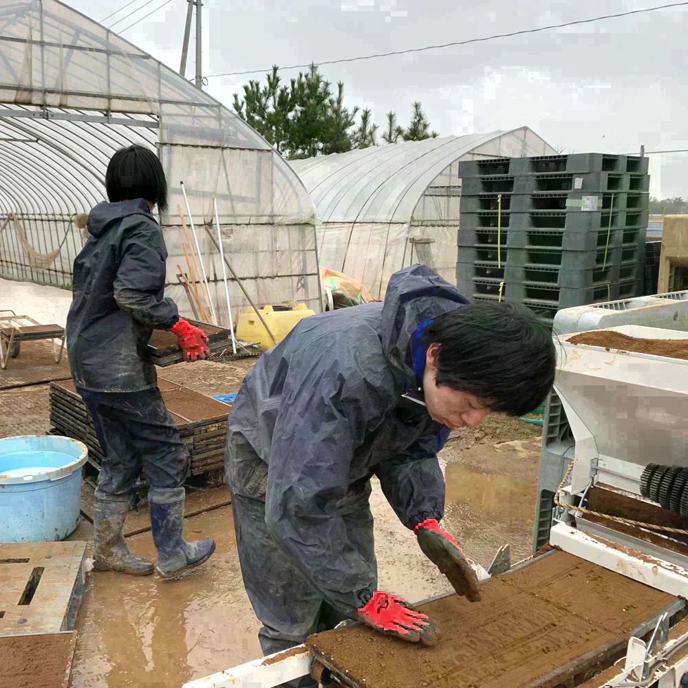 宮城県産 ひとめぼれ 精米30kg（5kg×6袋）令和7年産 古代米プレゼント付き