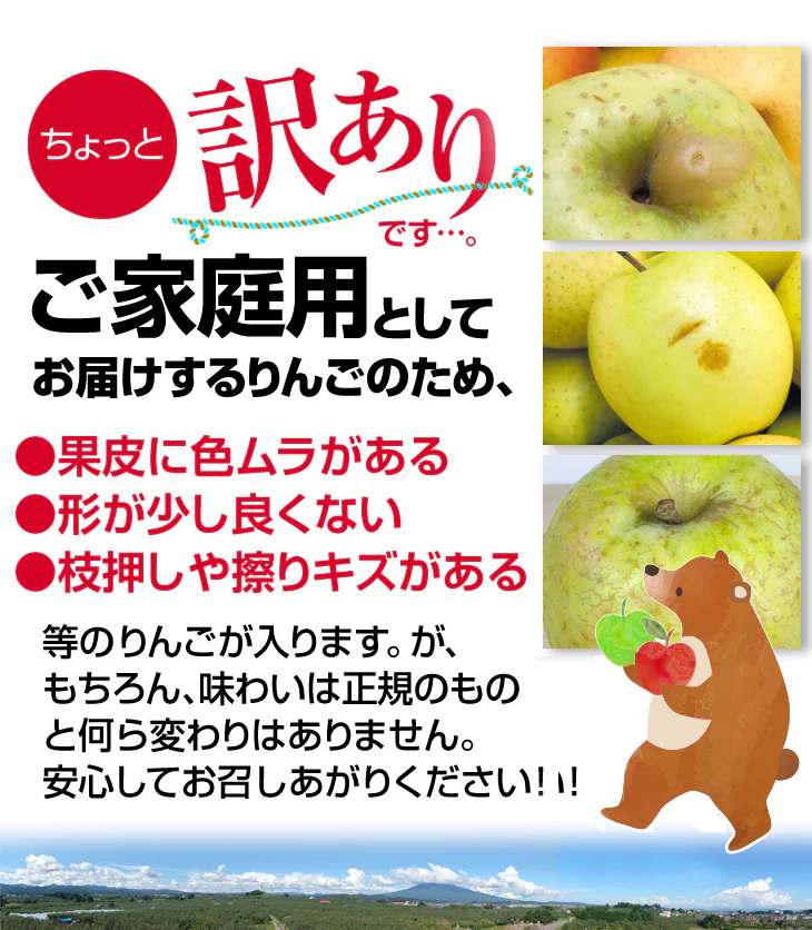 特選 青りんご 10kg 品種おまかせ  青森産 ご家庭用【10月上旬発送】