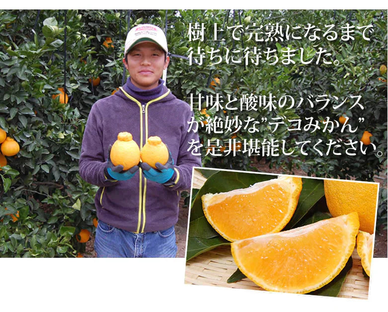 【12月下旬～1月上旬頃より順次出荷】デコポン 同品種 デコみかん 訳あり 送料無料 4kg ハウス栽培 みかん 熊本県産 不知火 ミカン 蜜柑