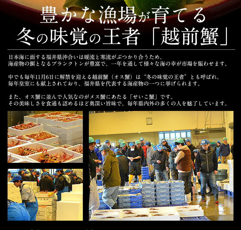 冬の味覚 甲羅盛りセット極 越前産ズワイガニ 中サイズ×1個（甲羅横幅 約11cm）セイコガニ 小サイズ 70g前後×2個（甲羅横幅 約7.5cm） 母の日 プレゼント ギフト  母の日思いの 健康 実用的 父の日 子供 孫