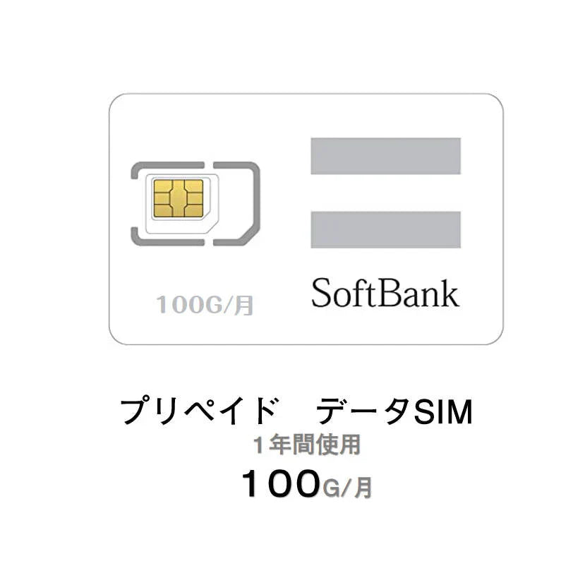 プリペイド SIM 格安 データ100G/月 1年間プラン 高速データ100GB 中速無制限 国内使用 契約不要 解約不要 手続き不要 データ通信SIM 4G