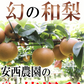 福島県産 梨 なし 2kg箱 ★秀品★品種おまかせ