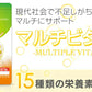 マルチビタミン《約1ヶ月分》 ネコポス送料無料■代引き・日時指定不可　サプリ/ビタミンサプリ/ミネラル ビタミン 葉酸 ナイアシン ビオチン パントテン酸 ヘスペリジン レシチン デュナリエラカロテン【カウシェファーム収穫対象商品】
