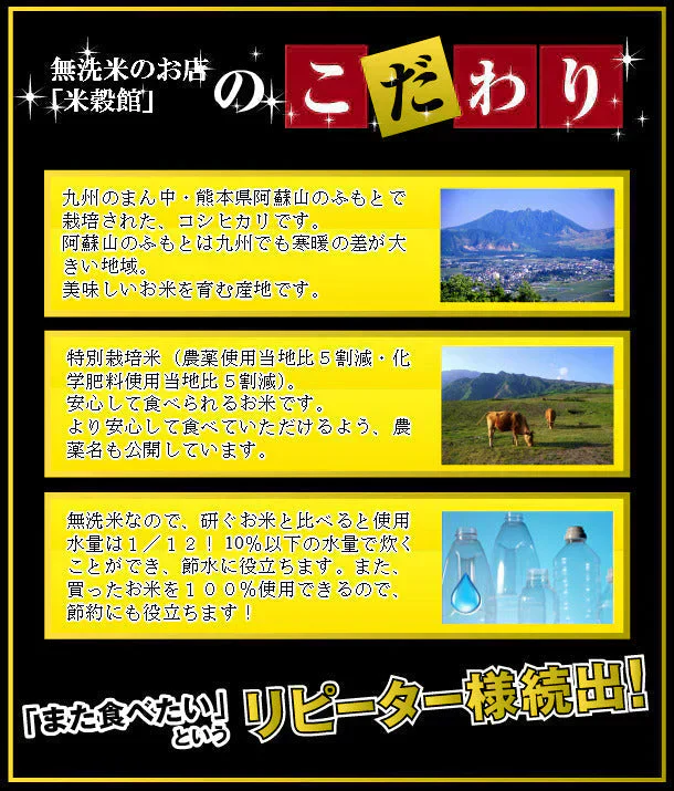 米 送料無料 無洗米 2kg 熊本県産阿蘇こしひかり　特別栽培米無洗米 ２kg×１個