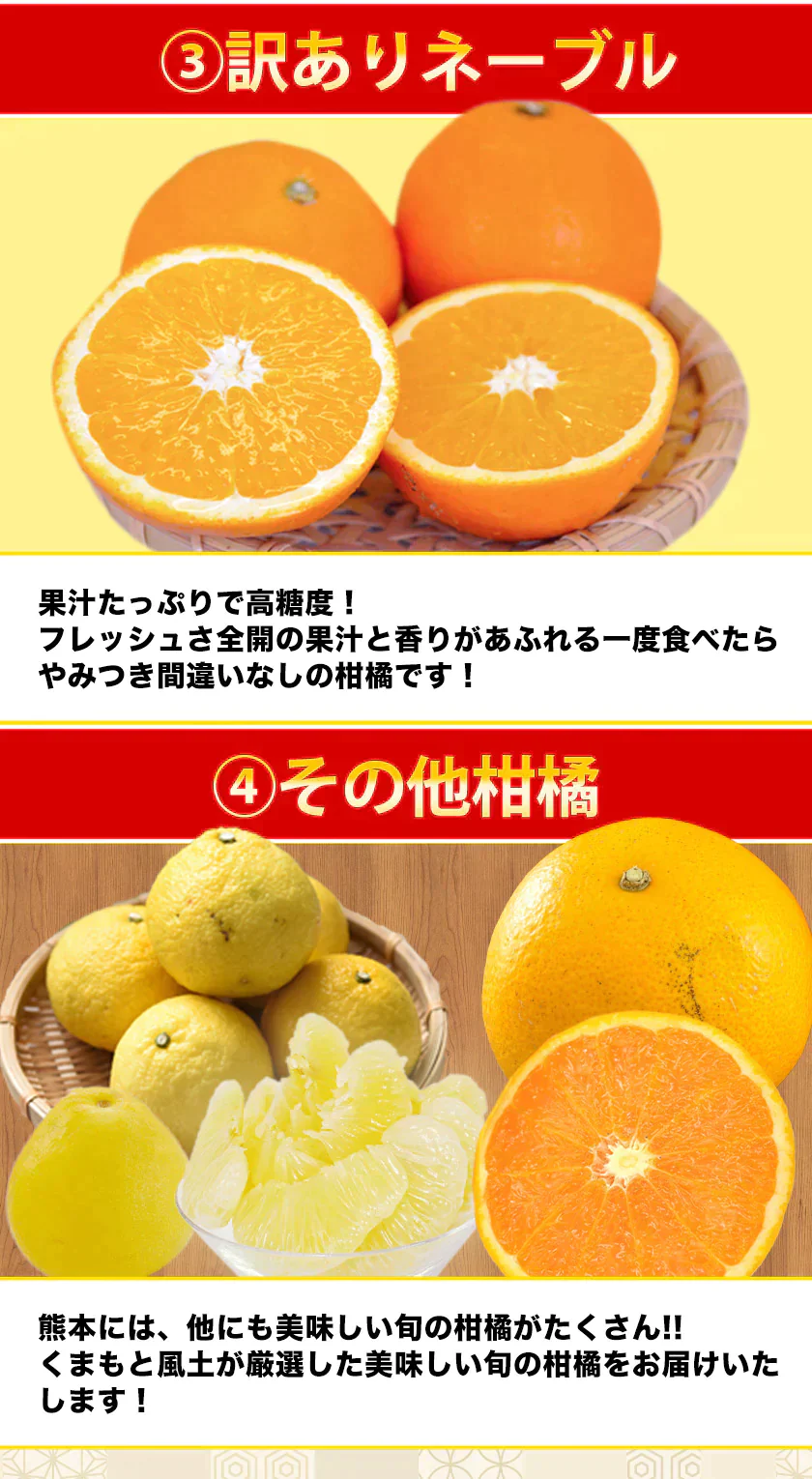 2024 福袋 みかん 福袋 送料無料 高級フルーツ 黒毛和牛 が当たるかもデコポン 干し芋 柑橘 果物 フルーツ 予約 3月上旬-3月末頃より発送予定【福袋】
