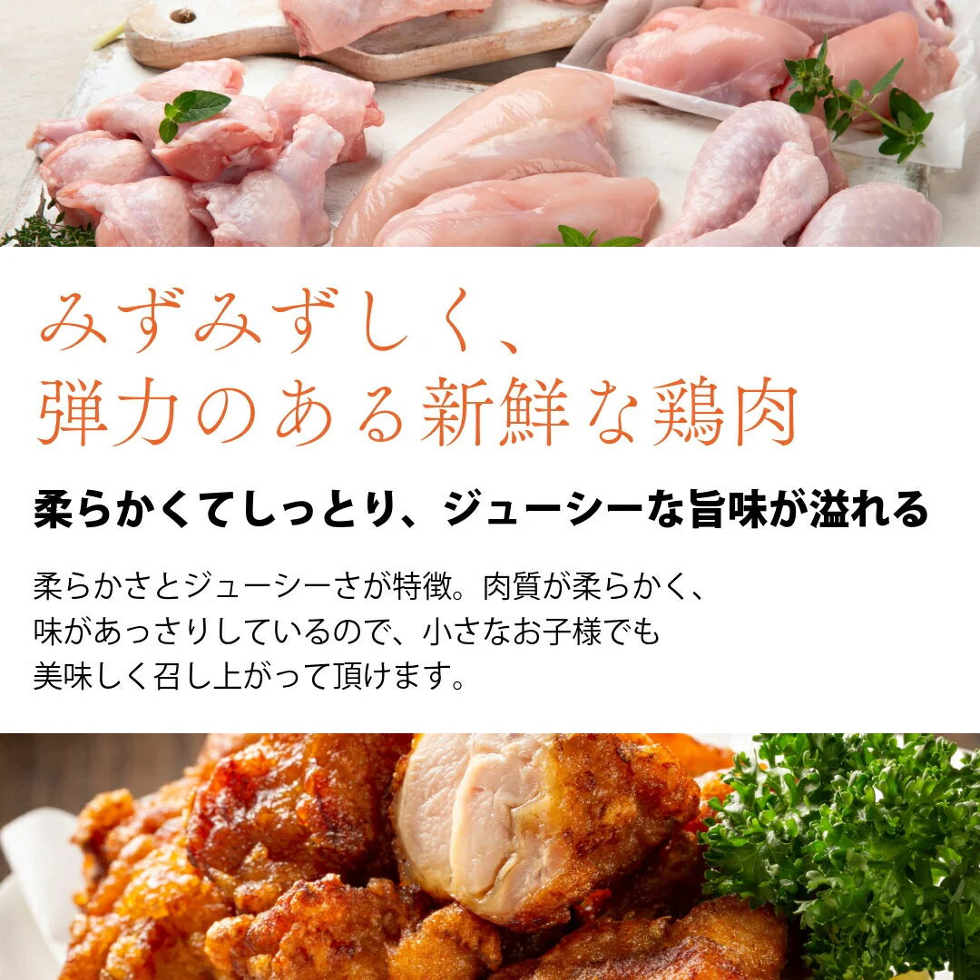 おうちごはん国産鶏肉セット 2人前14品分が作れる！ 5種類詰め合わせ もも肉4枚 むね肉4枚 ささみ10本 挽肉500g 手羽元16本】 国産鶏  鶏肉 肉セット とりにく 詰め合わせ 肉おかず お惣菜