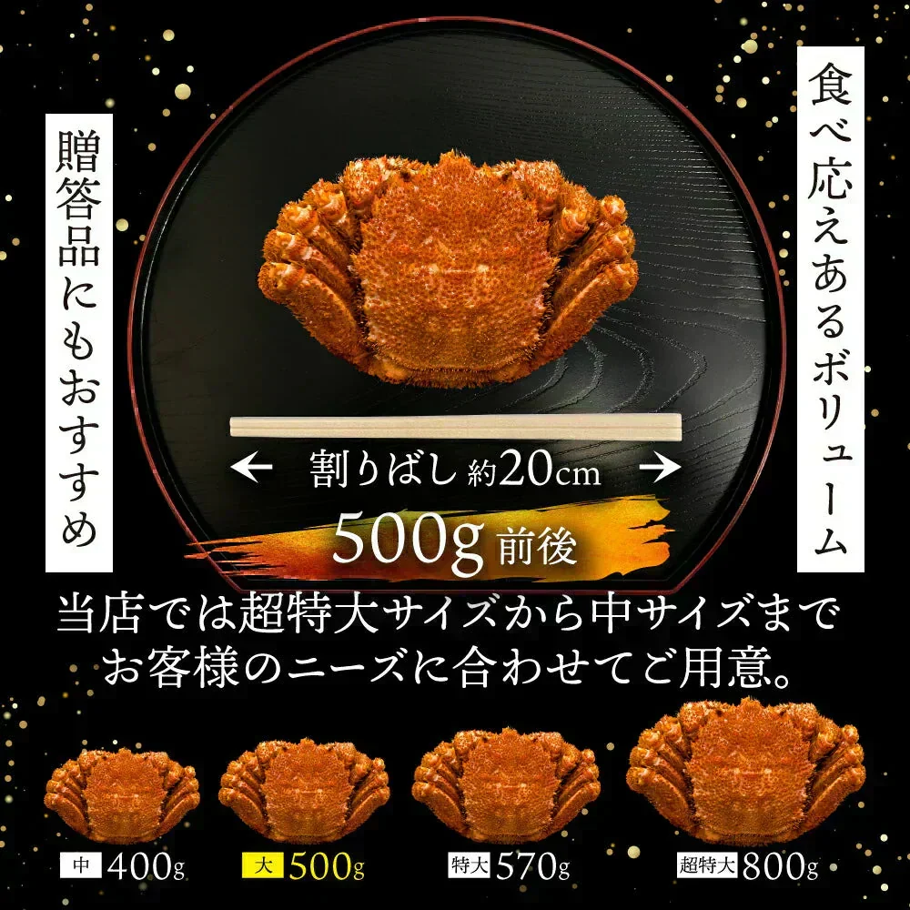 ！！1尾より断然お得！13,960円→今なら6,980円（6,980円引き）北海道産  浜茹で毛蟹 約500g×2尾【本州・四国エリア送料無料】オホーツク海の流氷明けで水揚げされた堅蟹を新鮮なままボイルしてます！