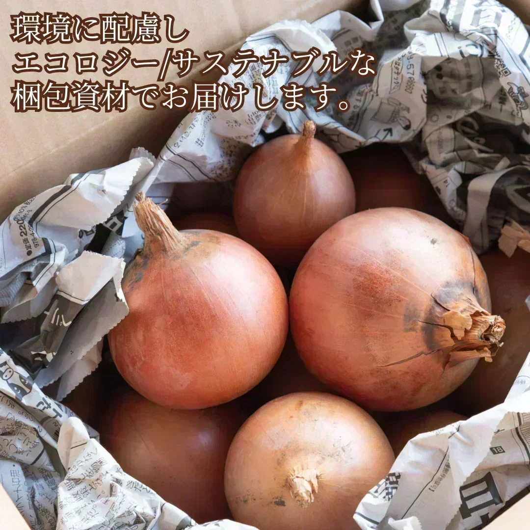 【規格外品】国産たまねぎ1.6kg（最低保証1.5kg）サイズランダム　玉葱 玉ねぎ タマネギ サラダ カレー 和食 野菜 惣菜 送料無料【カウシェファーム収穫対象商品】