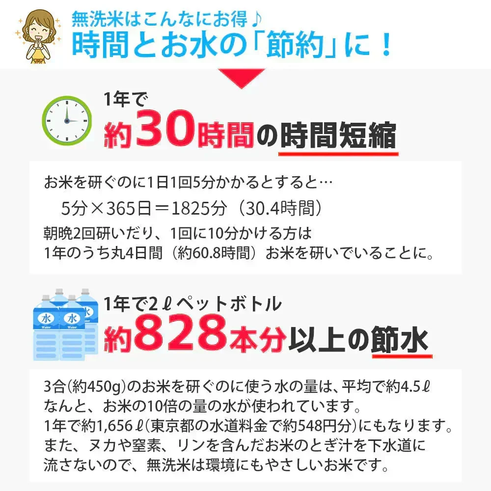 無洗米 10kg (5kg×2袋) こつぶ姫 国内産 送料無料 無洗米10キロ こめ コメ お米 精米 お米10kg お米10キロ