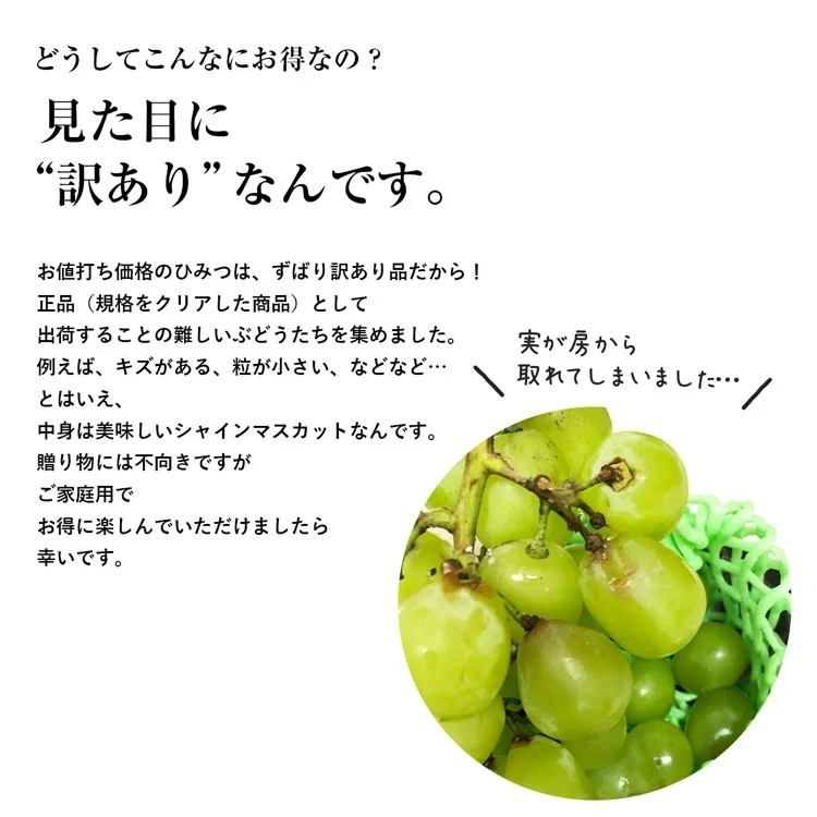 訳あり シャインマスカット 約1kg(2～3房) ご家庭用 お徳用 自宅用 お買い得 ぶどう 産地厳選 ブドウ 種無し 冷蔵便