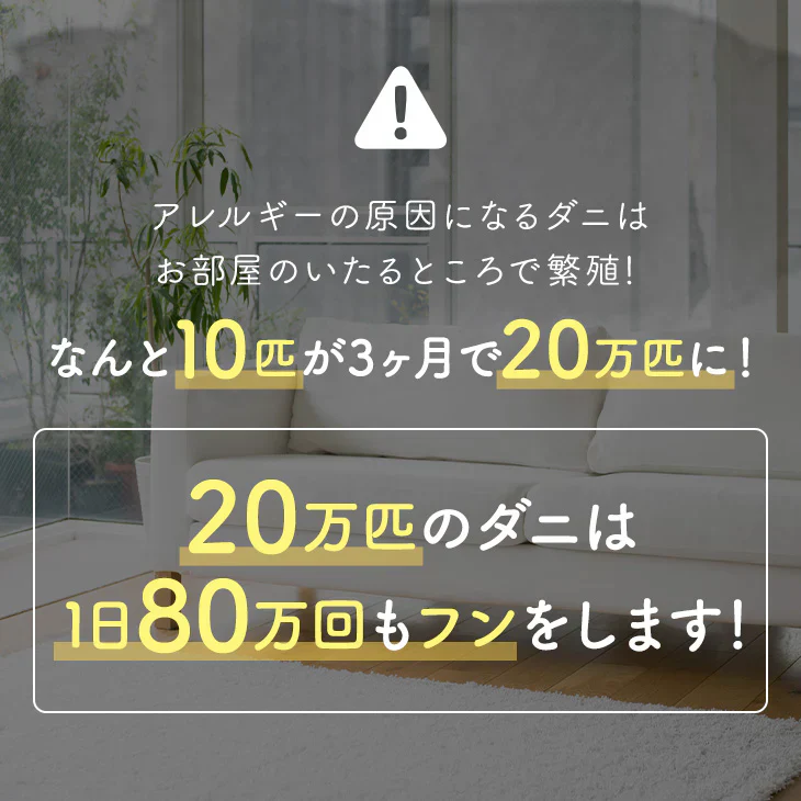 ダニ捕りパック【ブラックホール®】　2個入