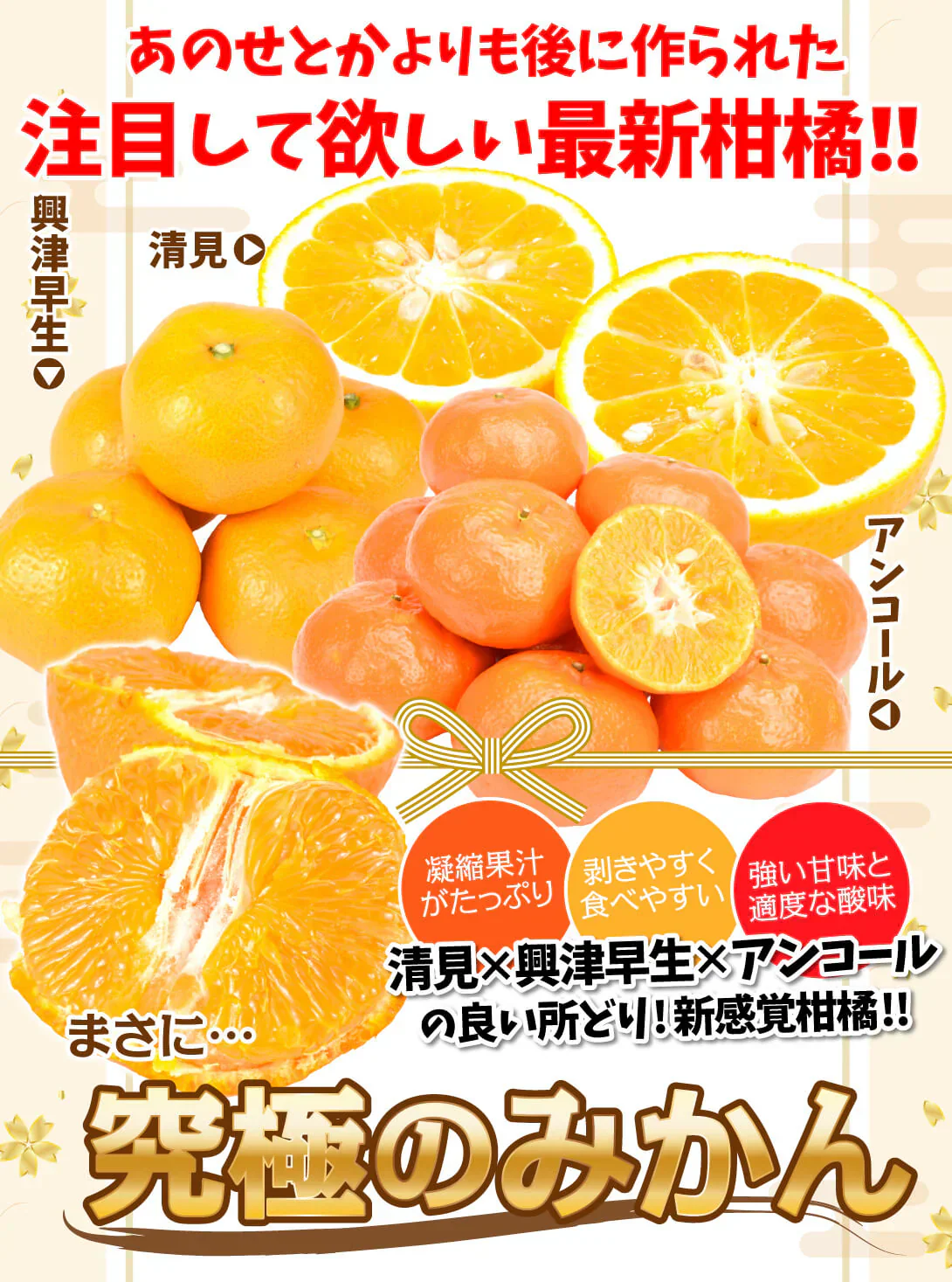 みかん　大分産　津の輝　1.5kg　ご家庭用（発送予定：2025年1月下旬より）