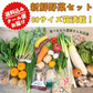 【2022年度 国内No.1獲得！】 クール便 市場直送！ 野菜セット 詰め合わせ 80サイズ箱 【 福袋 】玉ねぎ にんじん じゃがいも みかん 桃 シャインマスカット ギフト 食品 贈答 料理 フルーツ 果物
