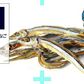 ＜小魚ミックス（五色煮）280g＞