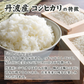 【白米】 丹波産 コシヒカリ 5kg [丹波産コシヒカリ100％] 兵庫県産 単一原料米 送料無料 精米工場からの直送品