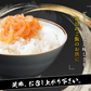 イカ明太 1kg いかめんたい 明太子 烏賊 たらこ おつまみ 大容量 特価 おかず ご飯のおとも お買い得 セット 食品 合わせ買い まとめ買い 商品 通販 惣菜 お取り寄せ グルメ 人気 おすすめ オススメ 送料無料