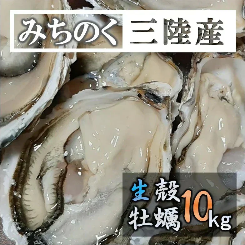 生食 OK カキみちのく 三陸産 殻付き 生牡蠣 10kg（60～100個） 今季初出し 希少 数量限定 送料無料 亜鉛の摂取源No.1 新鮮 石巻 宮城 産地直送 ミネラル アミノ酸 タウリン たっぷり 贈り物