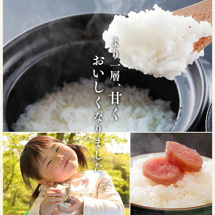 【カートアップNG】【超シェア買い祭】アイリスの低温製法米 無洗米 宮城県産ひとめぼれ 10kg（5kg×2）