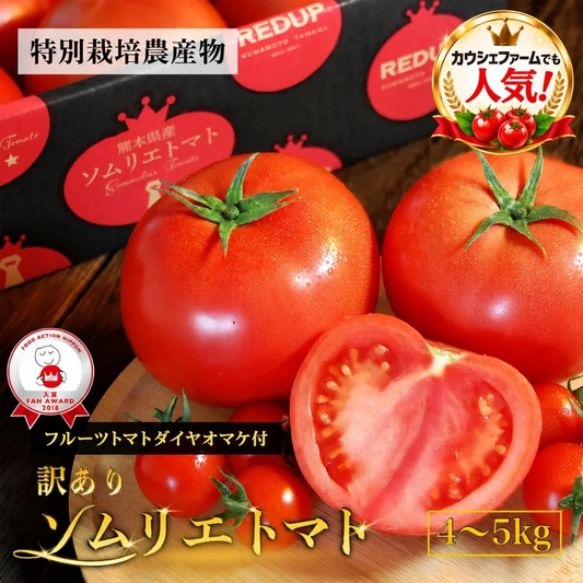 【予約】2027年1月下旬から順次発送【特別栽培農産物】＼ 訳あり ／ソムリエ トマト 4～5kg（18玉～36玉)ダイヤのオマケ付き ミニトマト 送料無料 ギフト プレゼント 産地直送 産直 完熟 フルーツ お取り寄せ 贈答 贈り物 高糖度 農家直送 熊本 甘い 糖度 お試し 中玉 大玉 新鮮 採れたて お歳暮