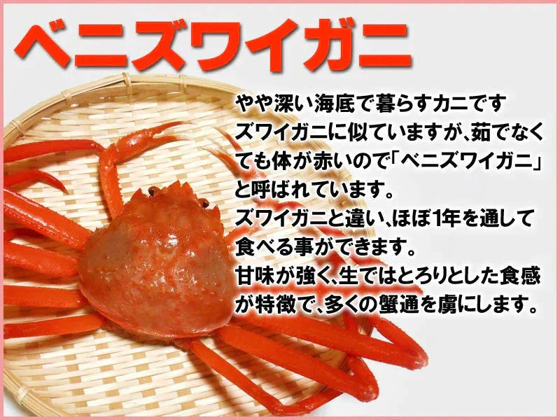 紅ズワイ姿　2.5kg（500g×５尾）　送料無料　ズワイガニ　蟹味噌　山陰香住港　国産 兵庫県