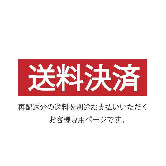 送料決済専用ページ　170サイズ　【1833円】