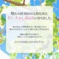【9月上旬順次発送】送料無料 岡山産 シャインマスカット 晴王 優品2房 800-900g