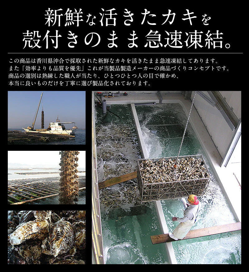 カキ 牡蠣 缶焼き かき 3kg（殻付き 約32〜42個） 冷凍牡蠣 セット まとめ買い カンカン焼き かんかん焼き 海鮮 美味しい 海鮮セット 食べ物 お取り寄せグルメ 冷凍 軍手 ナイフ付き［送料無料］ 母の日 プレゼント ギフト  母の日思いの 健康 実用的 父の日 子供 孫