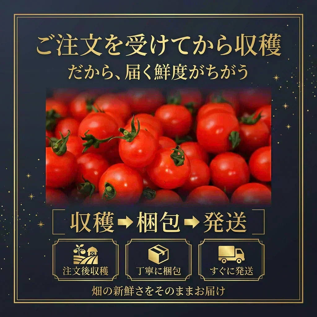 予約【2026年12月前後～2027年2月28日までに順次発送】＼特別栽培農産物／ソムリエミニトマト　プラチナ　３００ｇ（補償100g込み）※補償分以上の不良は交換対応可能【カウシェファーム収穫対象商品】
