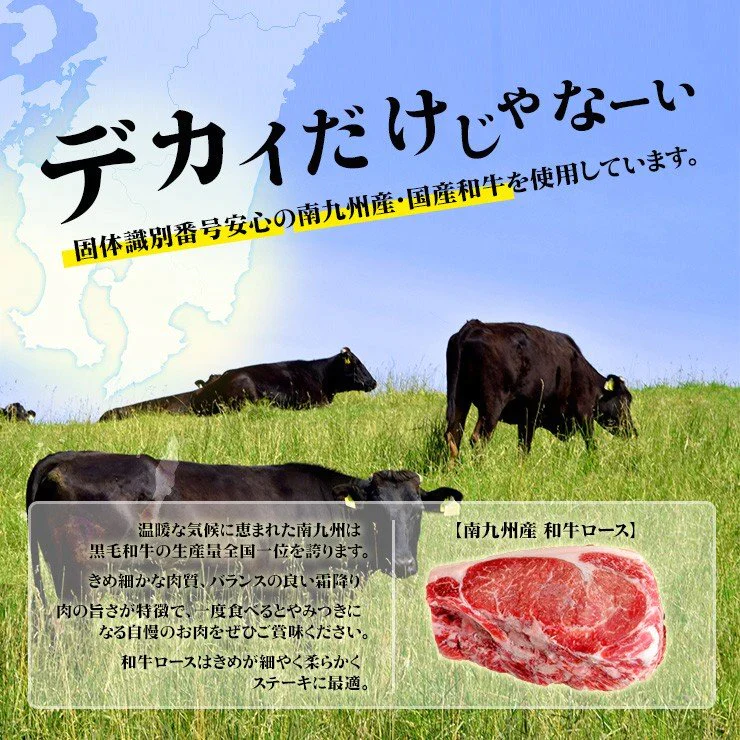 でかいステーキ ステーキ肉 約600g