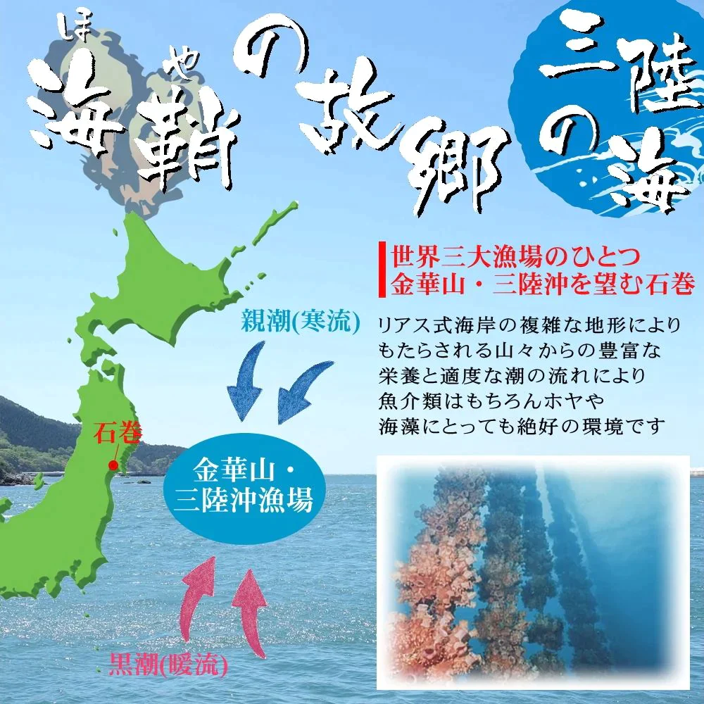 三陸産ほやをとことん堪能 四種詰合せ ご飯のお供におつまみに ホヤ セット 詰め合わせ 送料無料 海鮮 グルメ 食べ物 おつまみ お取り寄せ 御歳暮 御中元 お中元 お歳暮 お祝い プレゼント 贈答用 敬老の日 父の日 母の日